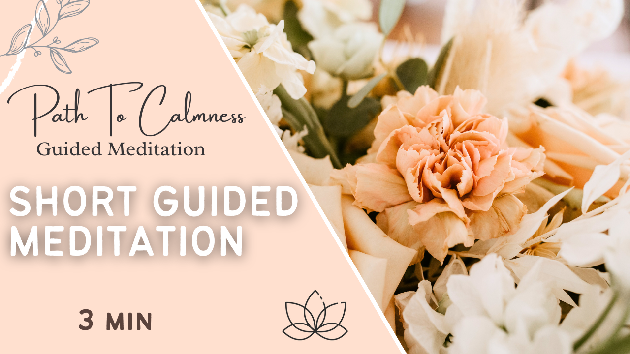 On-the-Go Guided Meditation Bundle